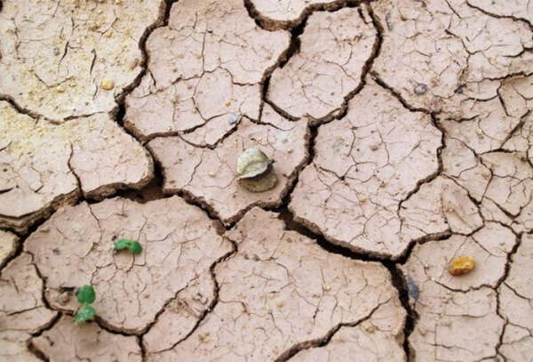 Kraj chce bojovat proti riziku sucha. Ohrožení se týká stále většího území republiky