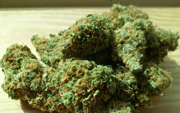 Exekutoři našli u dlužníka sušenou marihuanu, případ řeší policie